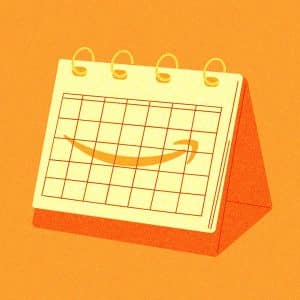 Amazon Sambhv Fund